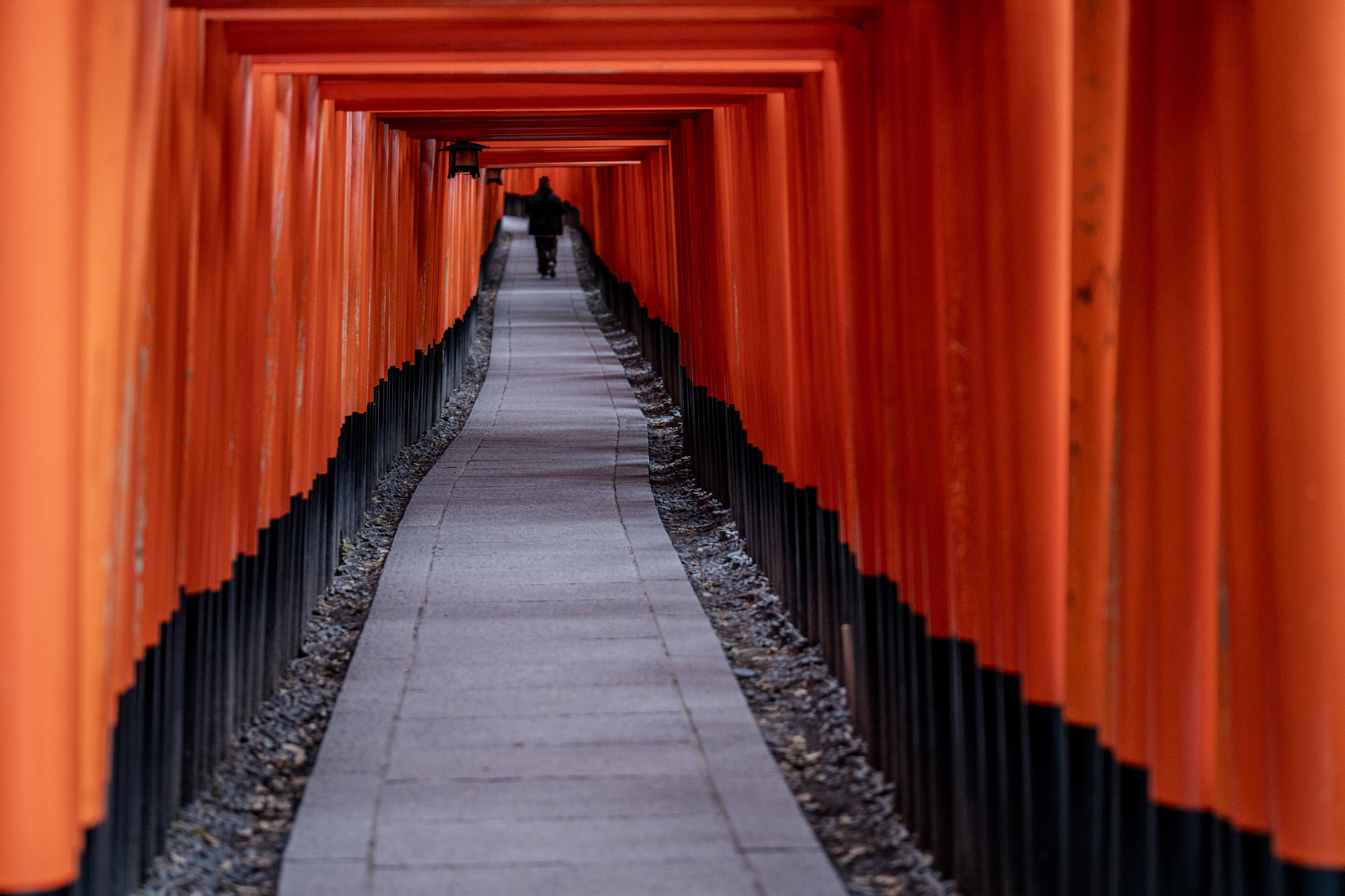 Travel photography Fushimi Inari shrine Kyoto Japan by LA photographer