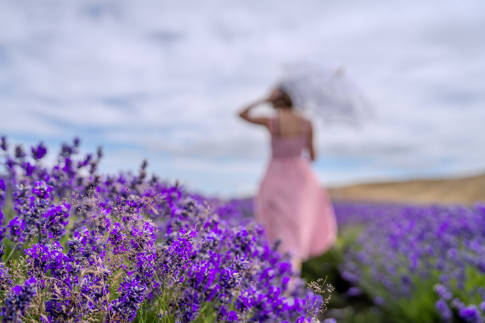 Artistic portrait woman in lavender field creative blur photography
